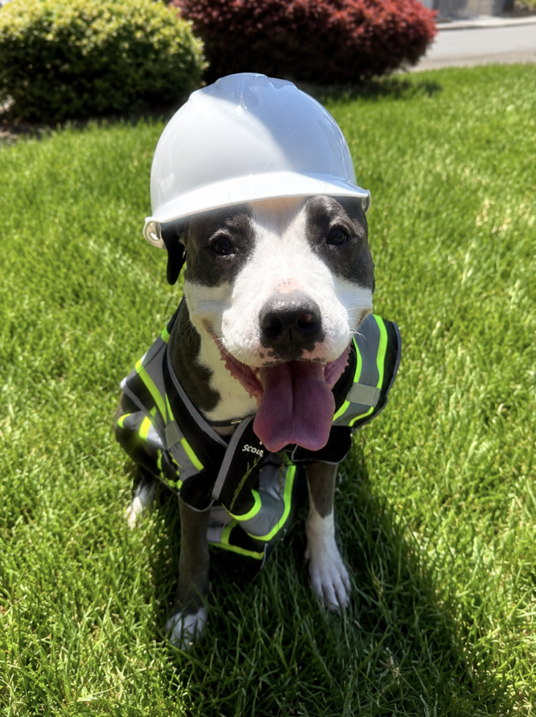 Winnie mascot for Winnie's Scoop Service pet waste removal company in Beaverton Oregon